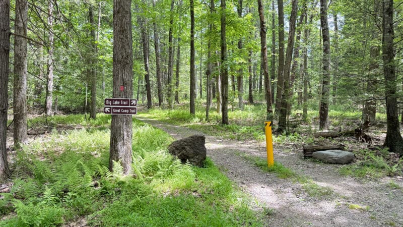 trails